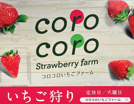 コロコロいちごファーム看板