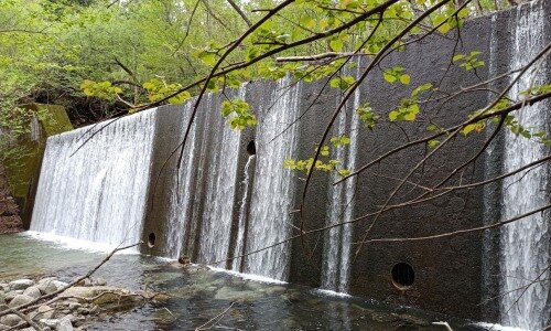 取水地点の堰堤